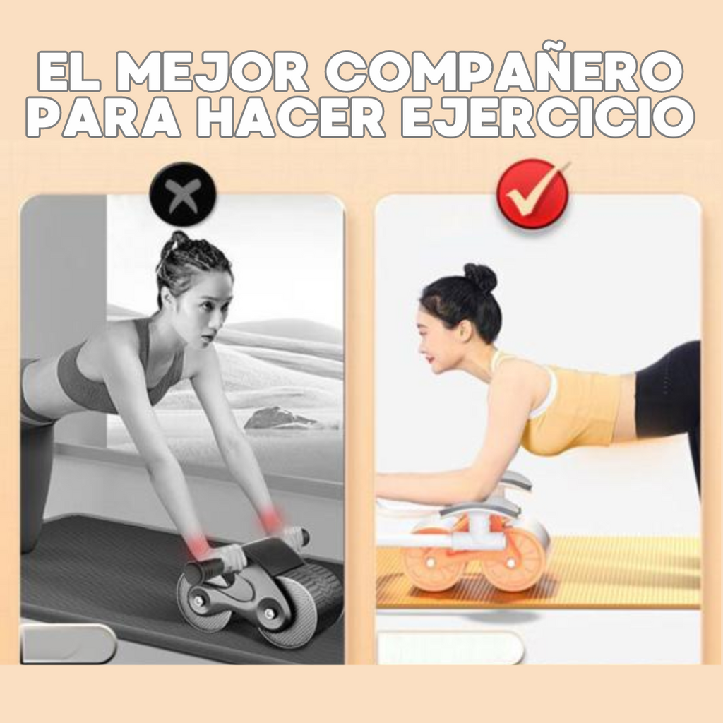 Rueda abdominal: Ideal en tus ejercicios de core – Pro Sports Peru