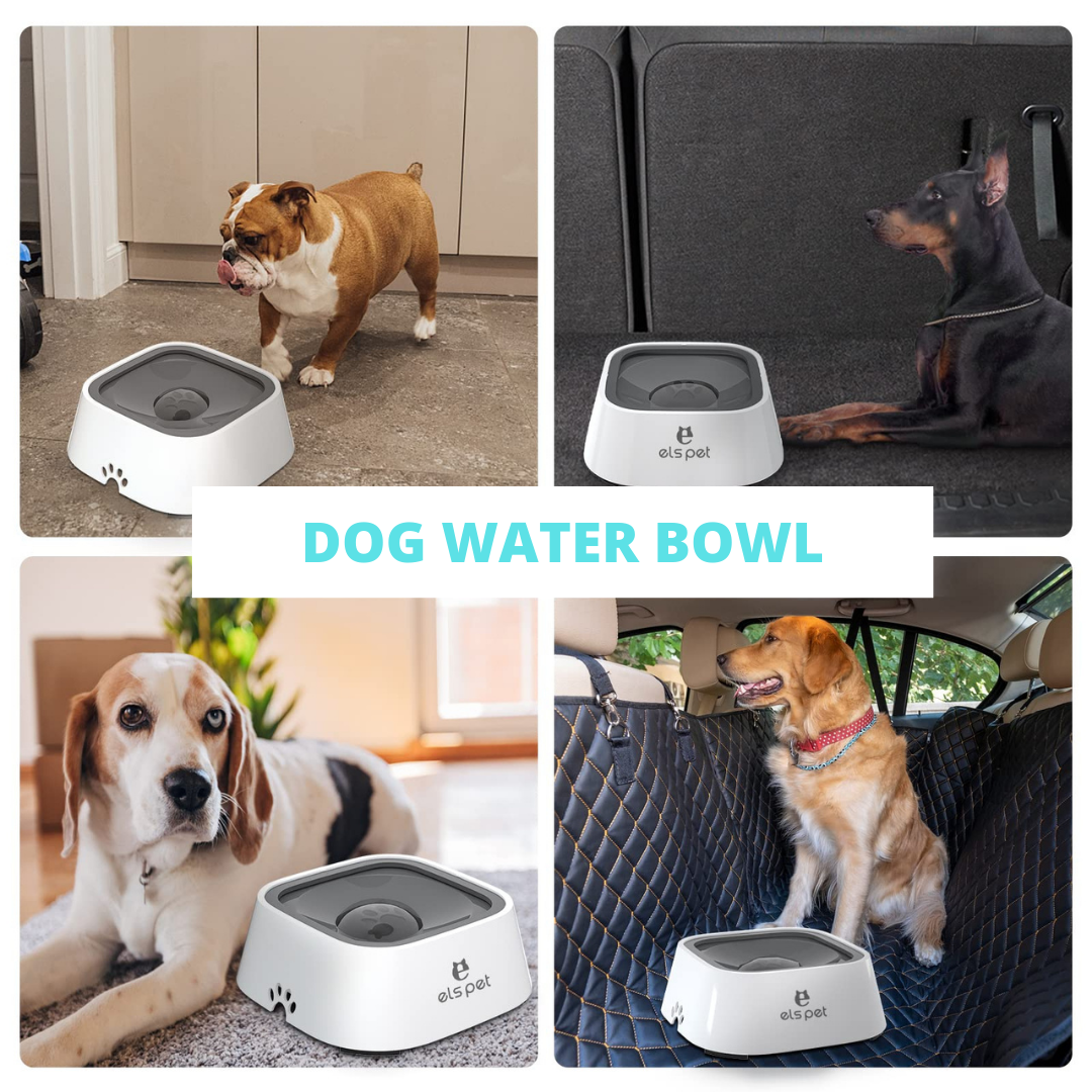 Dog Water Bowl - Dispensador de Agua  para Mascotas