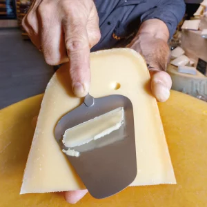 Paleta de Quesos