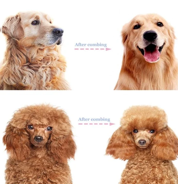 Rastrillo para Peinar Mascotas, imagen 5