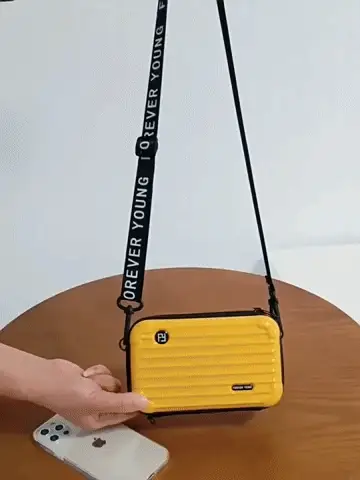 ¿Por qué obtener el Chic Box HandBag? – Chic Box HandBag- Mini bolso cruzado de carcasa rígida y de mano